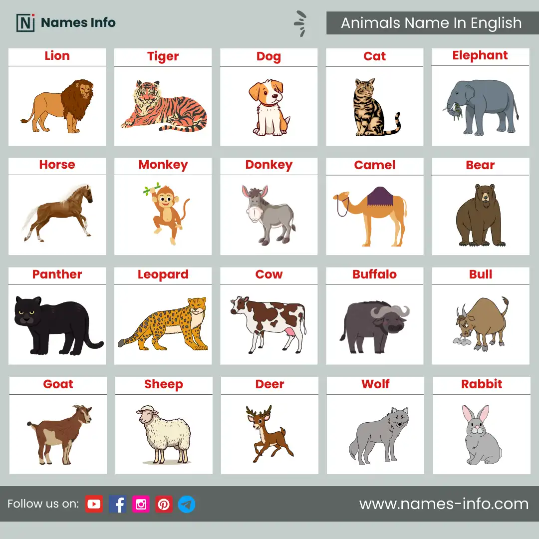 animals name in english with pictures