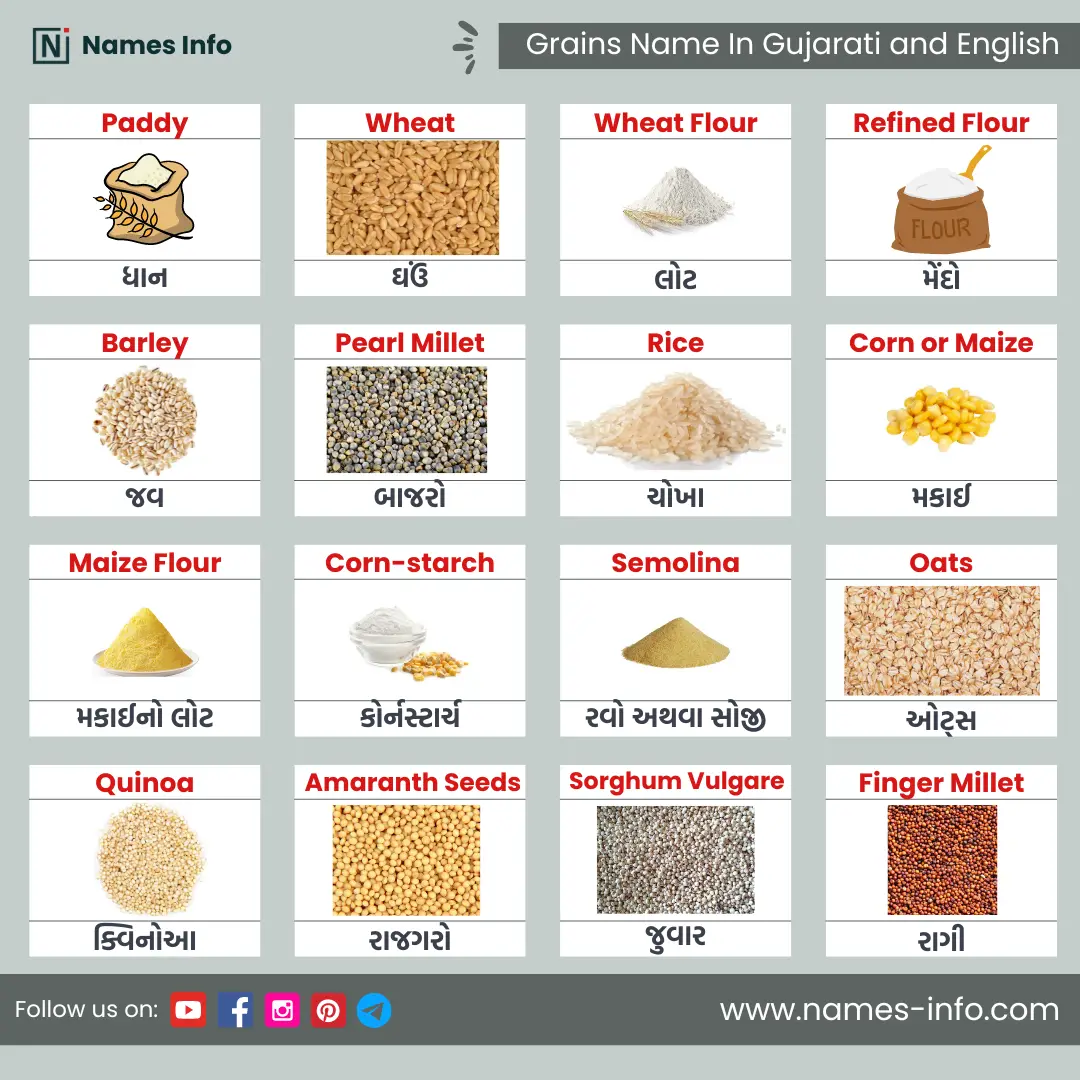 cereals and grains name in gujarati and english