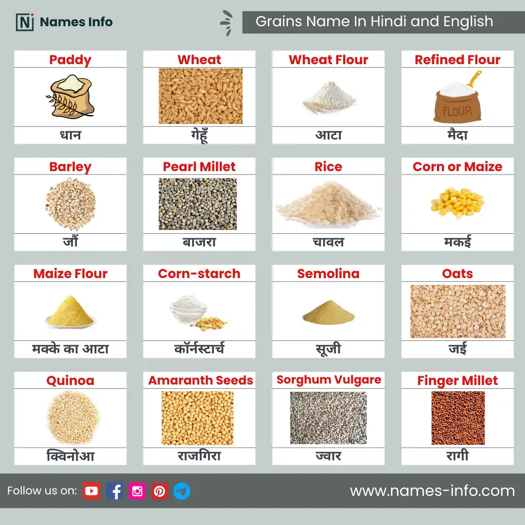 cereals and grains name in hindi and english