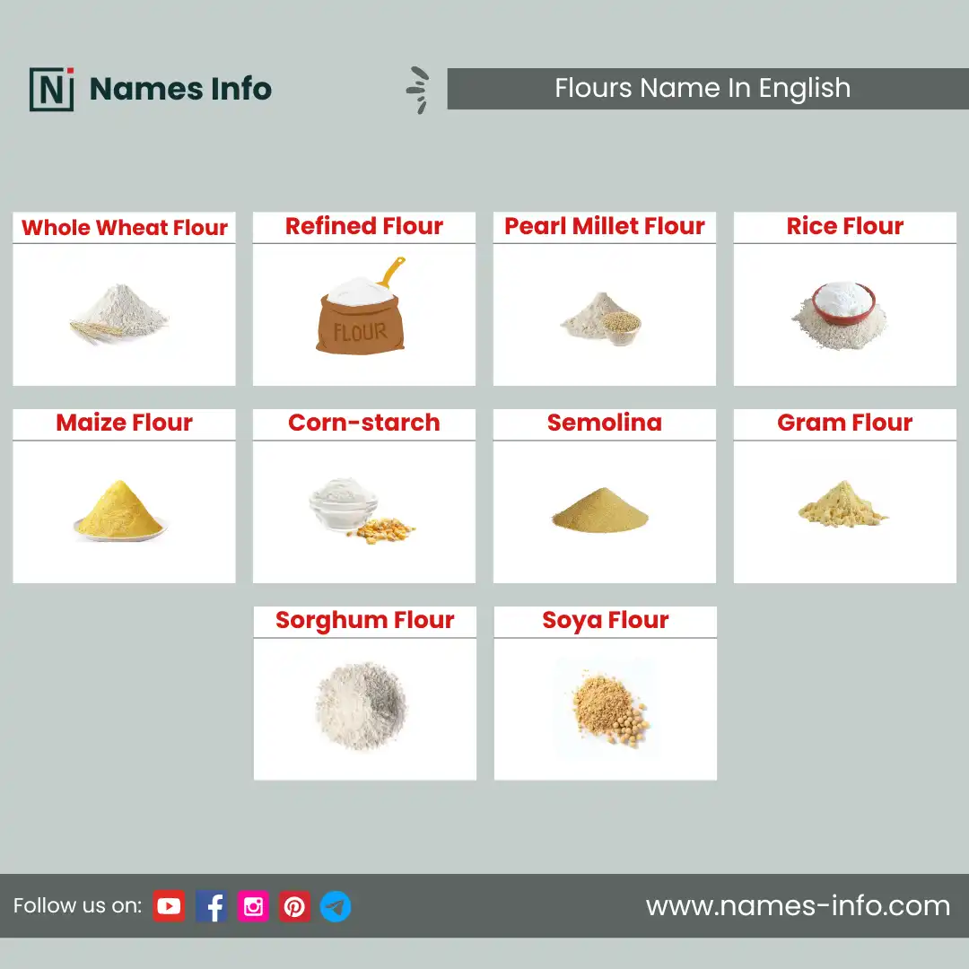 flour name in english with pictures