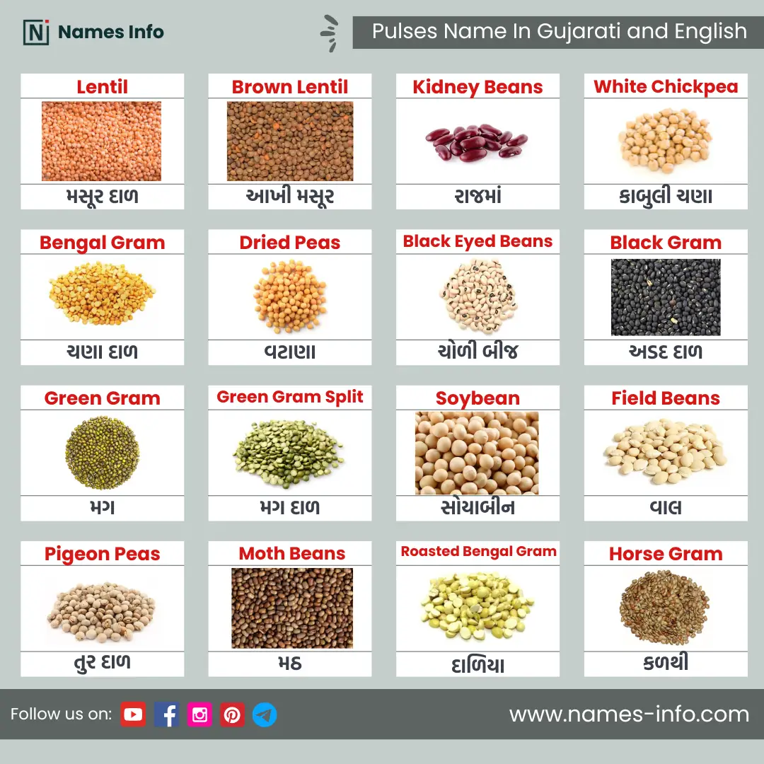 lentils and pulses name in gujarati and english with pictures