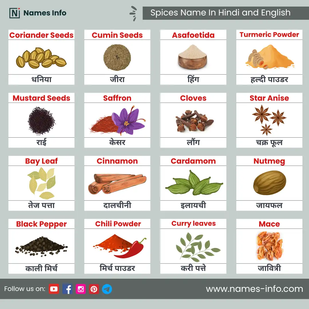 spices name in hindi and english with pictures