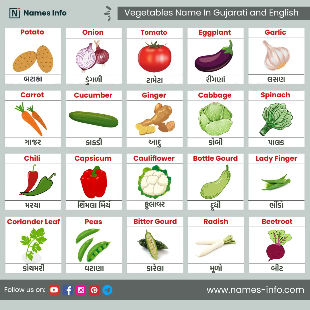 vegetables name in gujarati and english with pictures