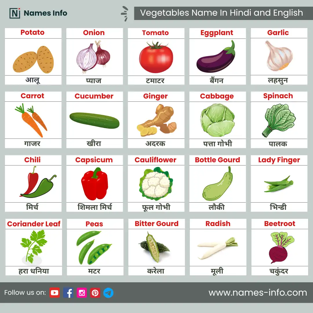 vegetables name in hindi and english with pictures