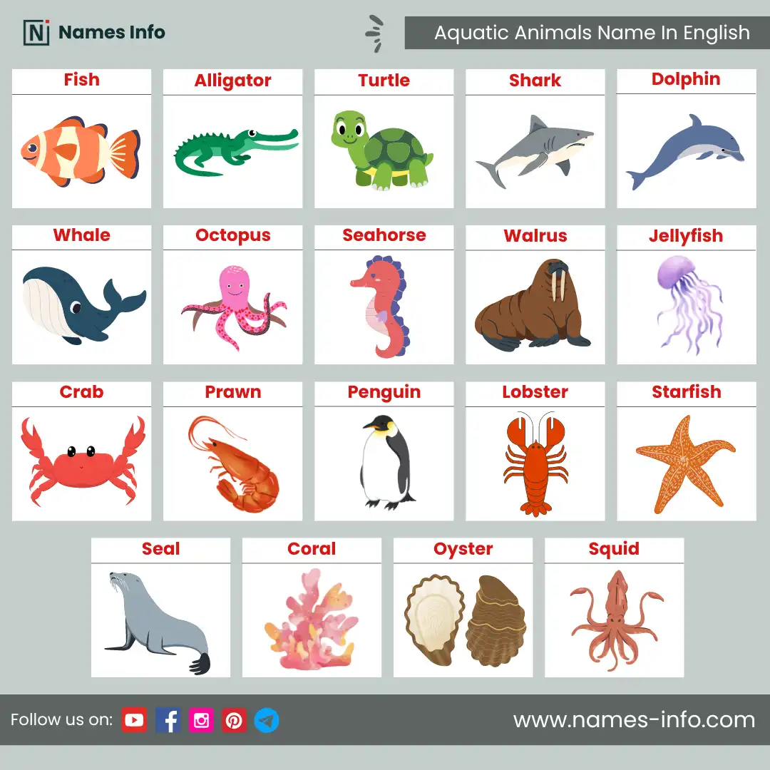 water or aquatic animal name in english with pictures