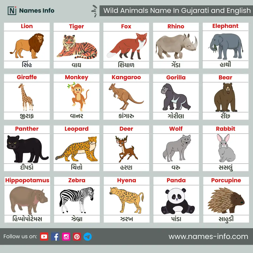 wild animals name in gujarati and english with pictures